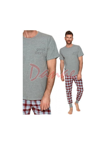 Pánske pyžamo Good Day - krátky rukáv - dlhé nohavice