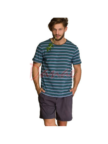 Pánske pyžamo - pruhované tričko - šortky