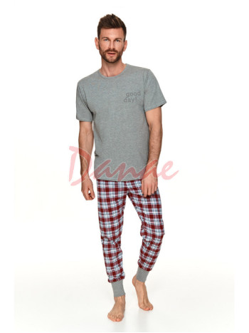 Pánske pyžamo Good Day - krátky rukáv - dlhé nohavice
